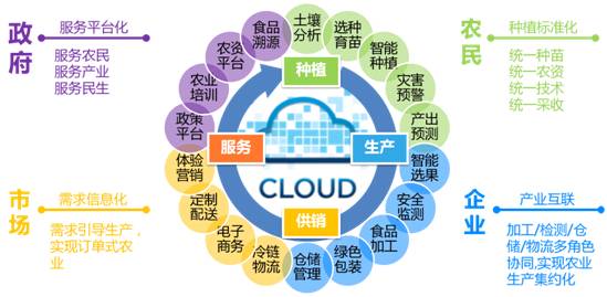 融合創(chuàng)新，智慧賦能 遠(yuǎn)光移動(dòng)互聯(lián)如何以信息技術(shù)咨詢服務(wù)驅(qū)動(dòng)“互聯(lián)網(wǎng)+農(nóng)業(yè)”落地